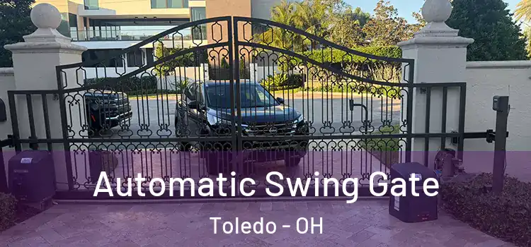 Automatic Swing Gate Toledo - OH