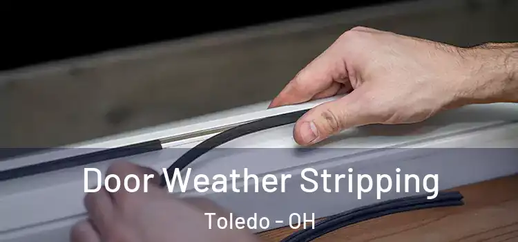 Door Weather Stripping Toledo - OH