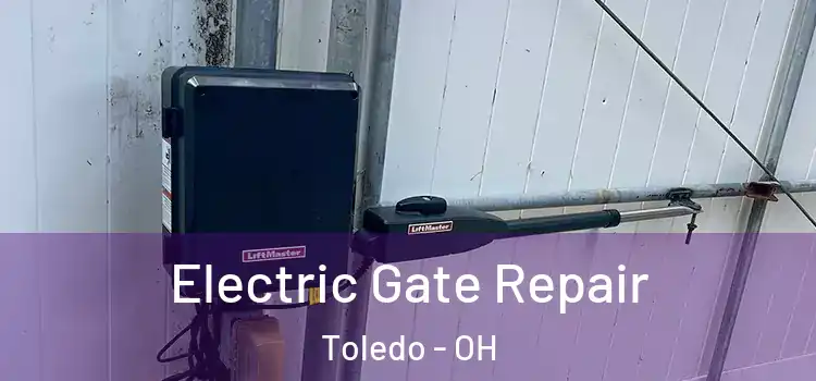 Electric Gate Repair Toledo - OH