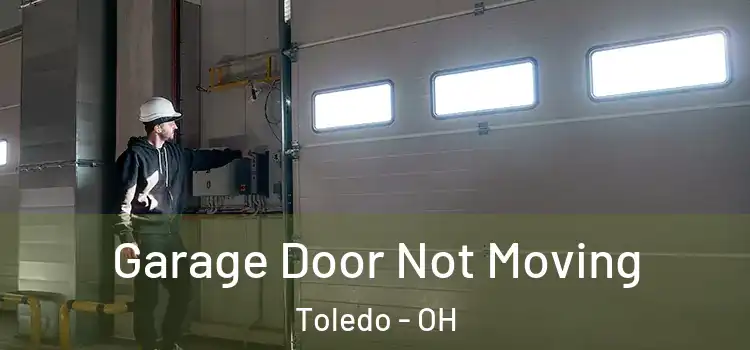  Garage Door Not Moving Toledo - OH