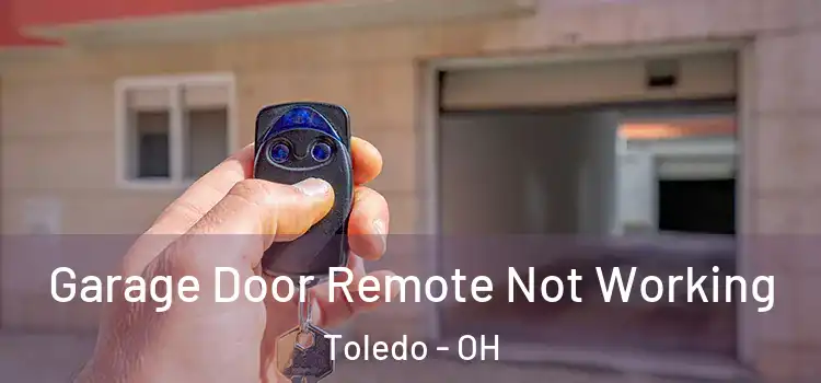  Garage Door Remote Not Working Toledo - OH