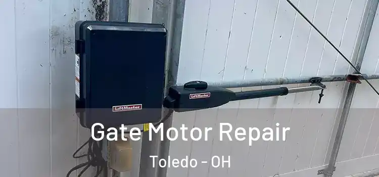 Gate Motor Repair Toledo - OH
