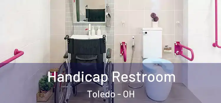  Handicap Restroom Toledo - OH