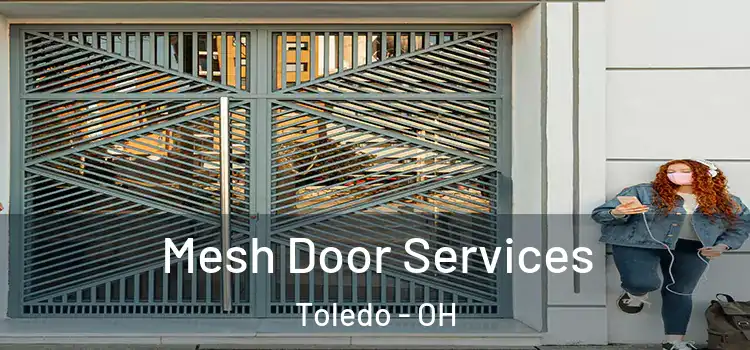 Mesh Door Services Toledo - OH
