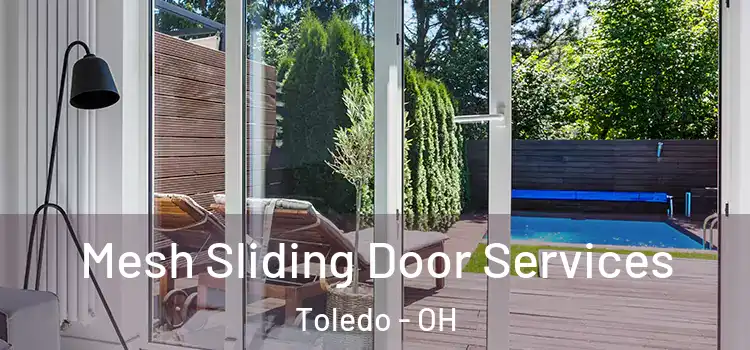  Mesh Sliding Door Services Toledo - OH