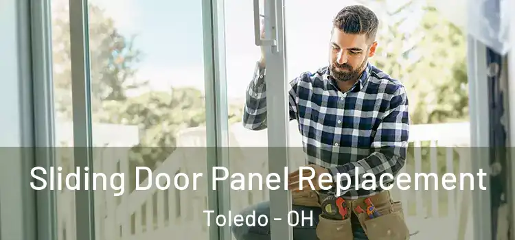  Sliding Door Panel Replacement Toledo - OH